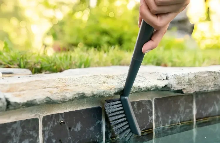 Swimming pool tiles maintenance